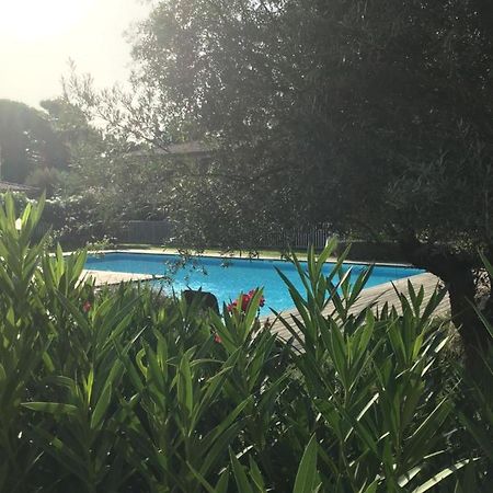 Appt T2 Standing Avec Piscine Et Terrasse Διαμέρισμα Πόρτο Βέκιο Εξωτερικό φωτογραφία